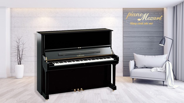 Đàn piano giá rẻ cho người mới học bạn nên tìm hiểu!