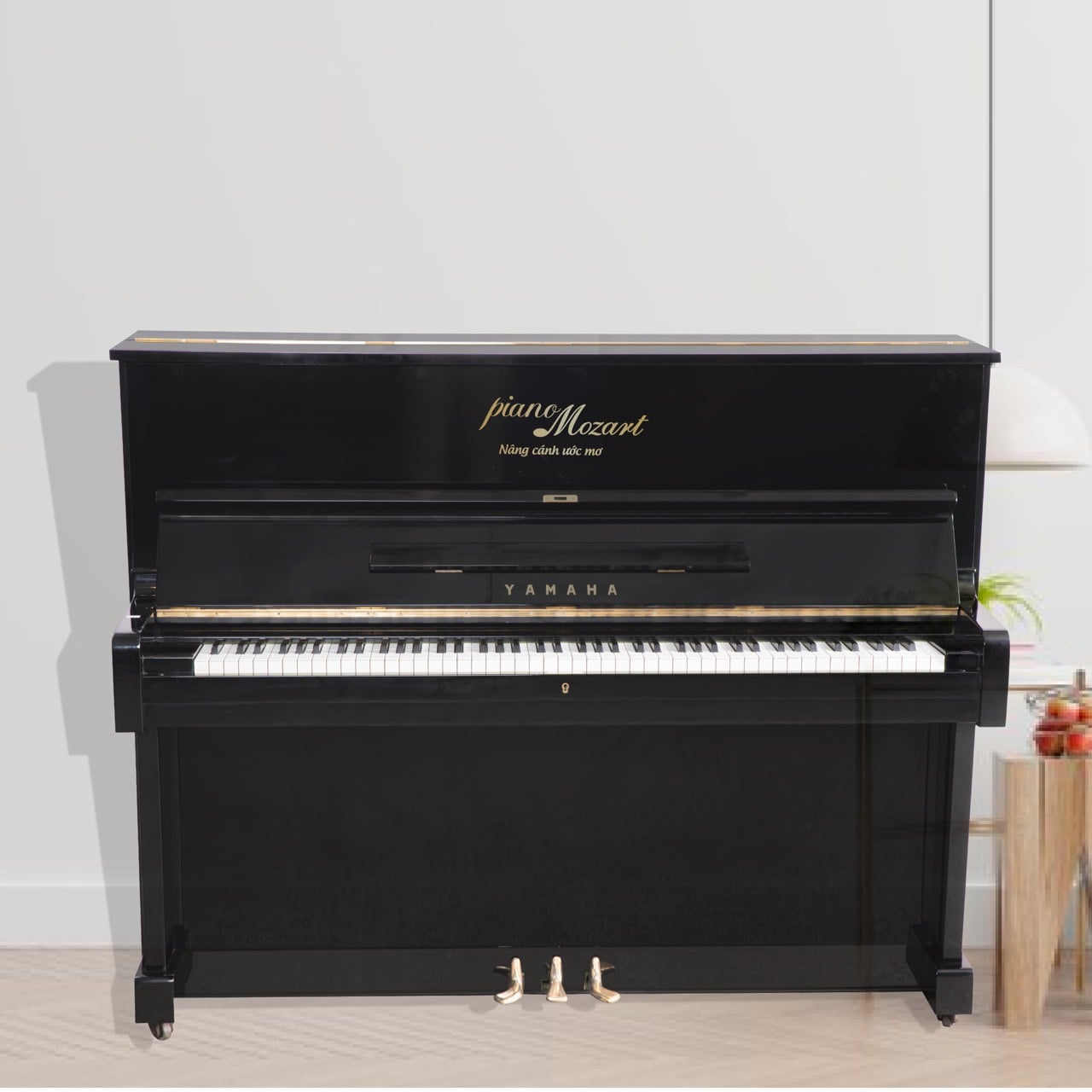 Hướng dẫn sử dụng đàn Piano cơ