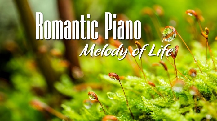 5 lời khuyên hàng đầu giúp bạn chơi nhạc piano lãng mạn tốt hơn