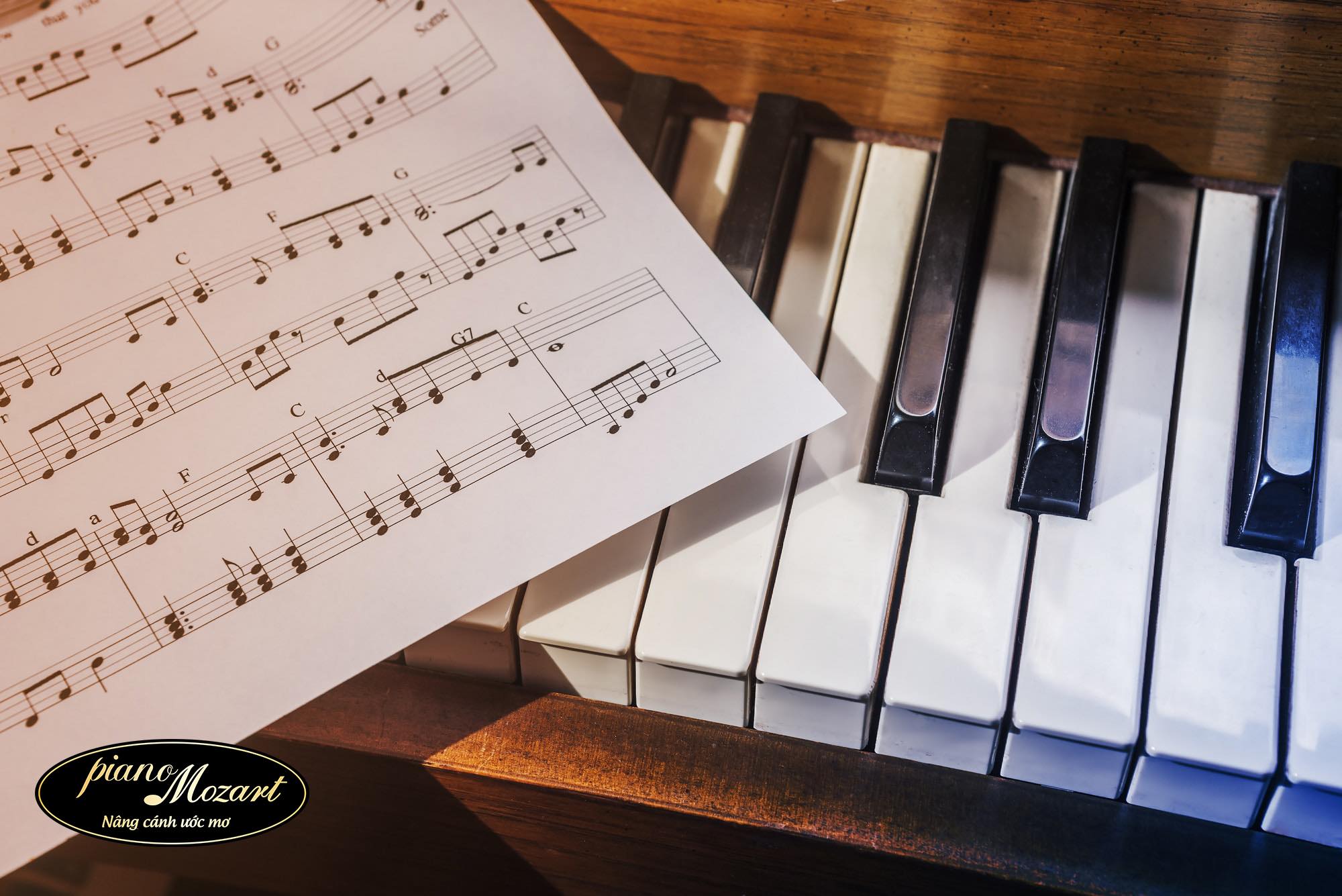 Phím đàn piano được làm bằng gì và tại sao?