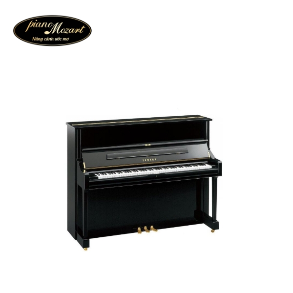 Dan piano MX300R