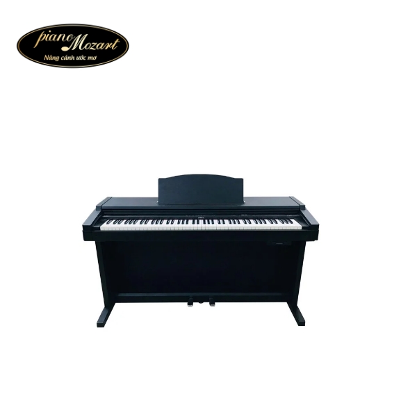 Dan piano Roland 2900G