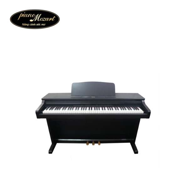 Dan piano TECHNICS PX105