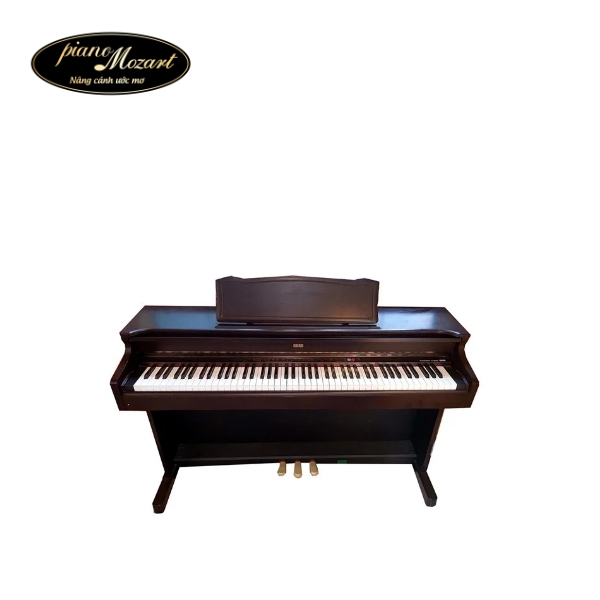 Dan piano korg C6500