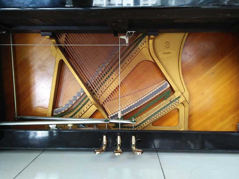 IMG201709041131509