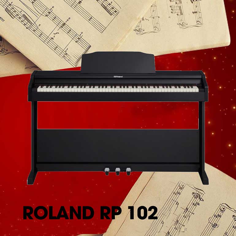Roland RP 102