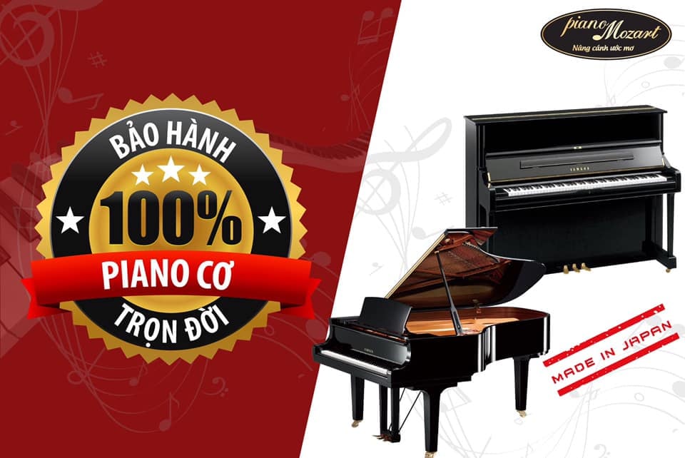 Bảo hành trọn đời khi mua nhạc cụ tại Piano Mozart