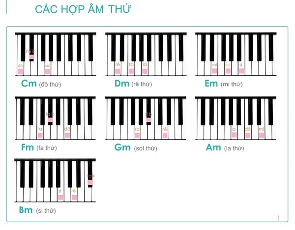 Các hợp âm Piano cơ bản, dễ nhớ cho người mới học đàn - Các nốt trong hợp âm thứ