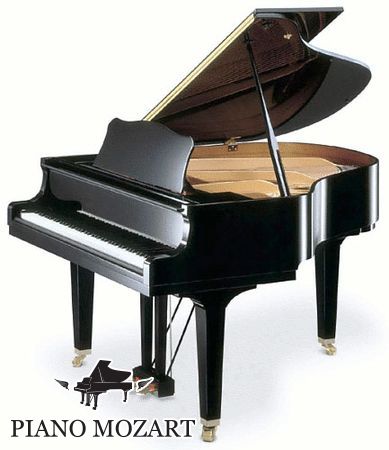 DỊCH VỤ SỬA CHỮA ,LÊN DÂY, VẬN CHUYỂN ĐÀN PIANO