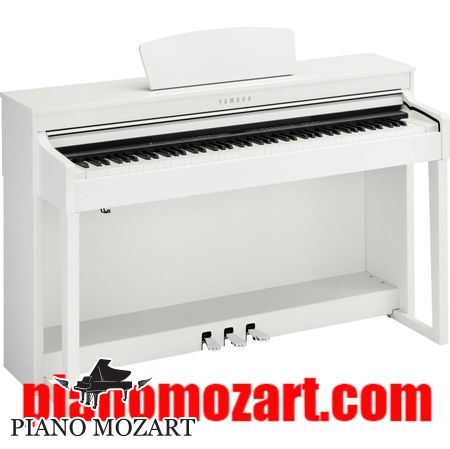 dan piano mau trang1