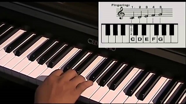 Số phím màu đen và số phím màu trắng trên đàn piano