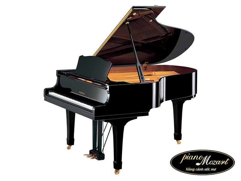 grand piano KG 3C