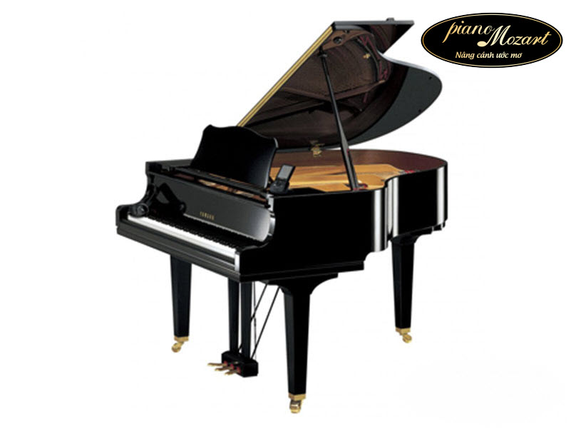 grand piano g2