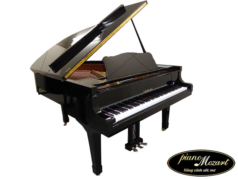 grand piano g3a