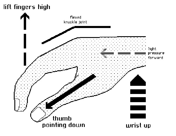 Kỹ thuật uốn cong ngón tay – Chìa khóa khắc phục sự cố khi chơi đàn