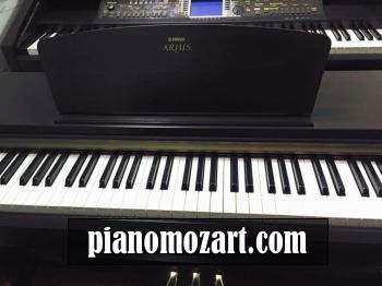 mua dan piano ha noi1