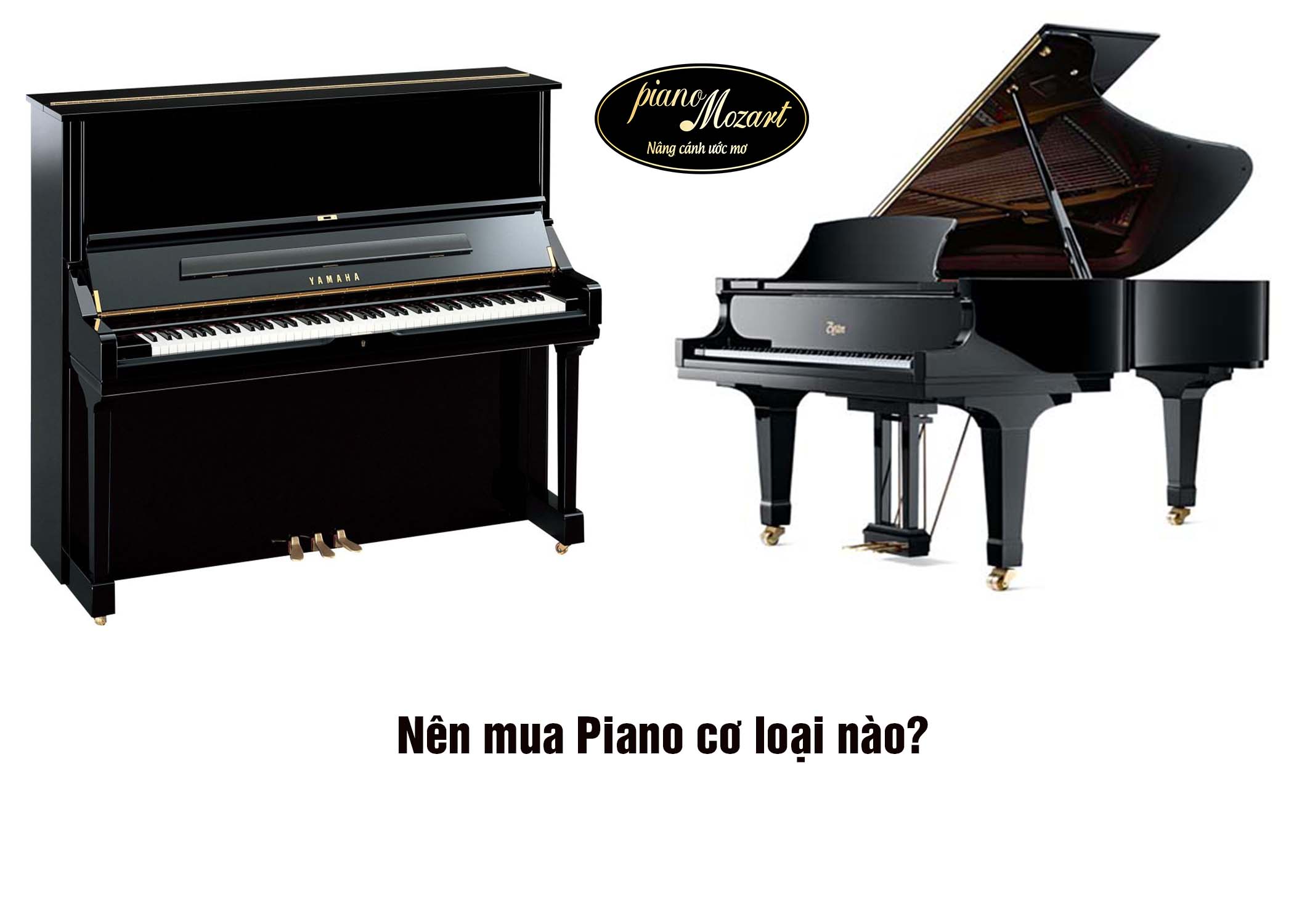 Nên mua đàn piano cơ loại nào?