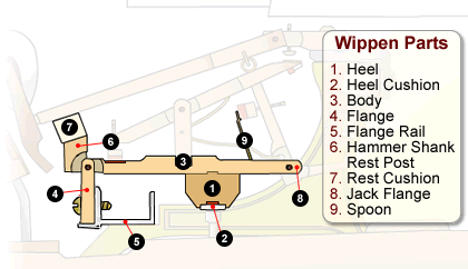 Tìm hiểu bộ máy đàn Piano và cách bảo quản thật tốt - The Wippen Parts