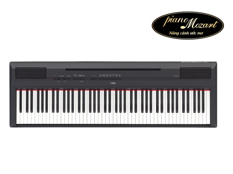 top 5 dan pian dien piano yamaha p115 2