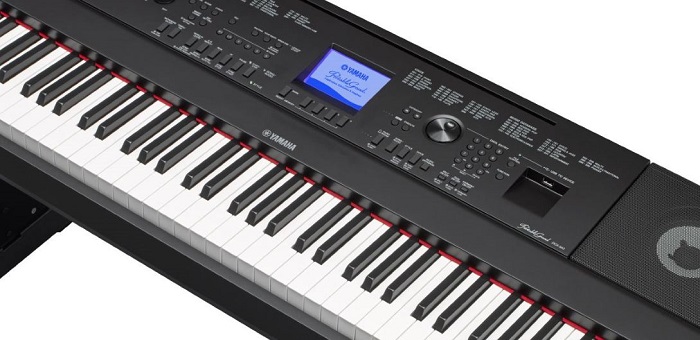 Yamaha DGX-660 vs Yamaha P-115: Bạn nên mua cây nào – P2