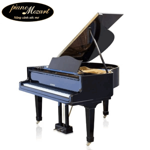 Grand Piano Bluthner SAP5867