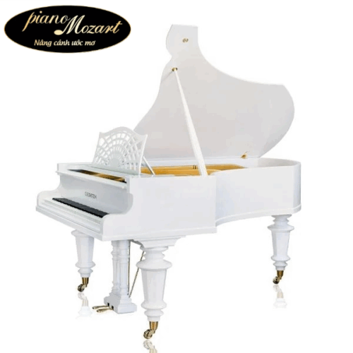 Grand Piano C.Bechstein SAP5838