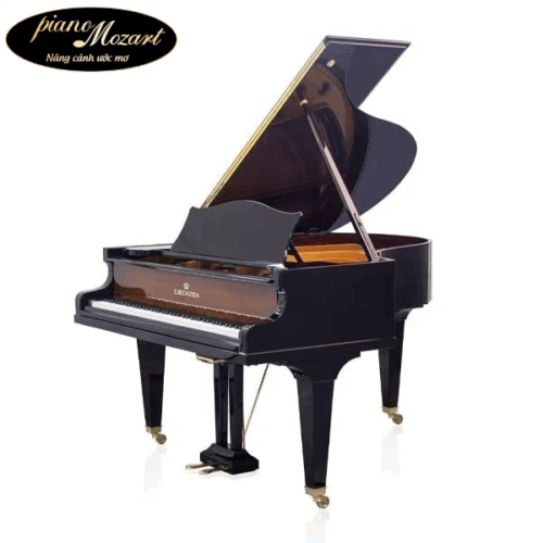 Grand Piano C.Bechstein SAP5944