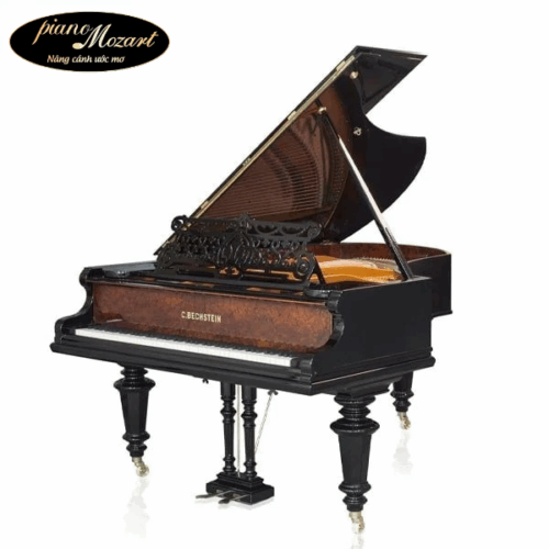 Grand Piano C.Bechstein SAP6710