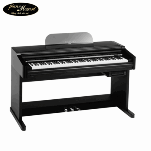 PIANO CASIO AP7