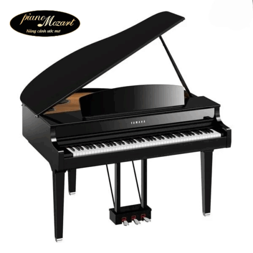 Piano Yamaha CLP 795 New