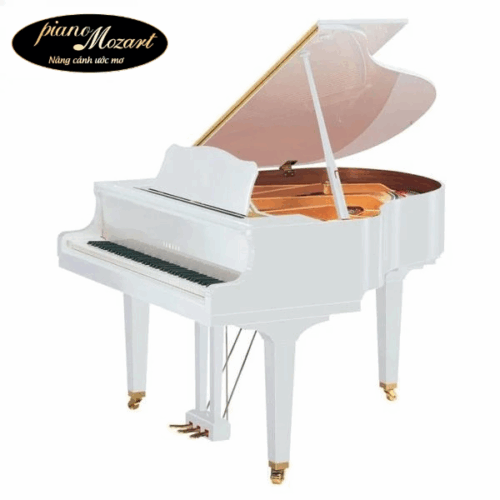 Grand Piano Yamaha GC2 (NEW)