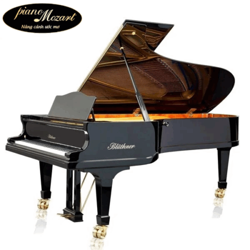 Grand Piano Bluthner SAP5114