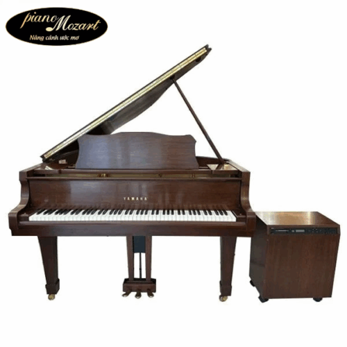 Grand Piano Yamaha C3E
