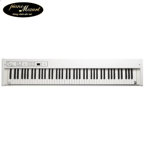 Piano Korg D1