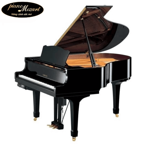 Grand Piano Yamaha G3B