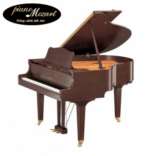 Grand Piano Yamaha GC1 (NEW)