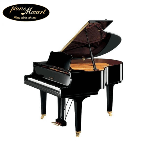Grand Piano Yamaha GC1S (New)