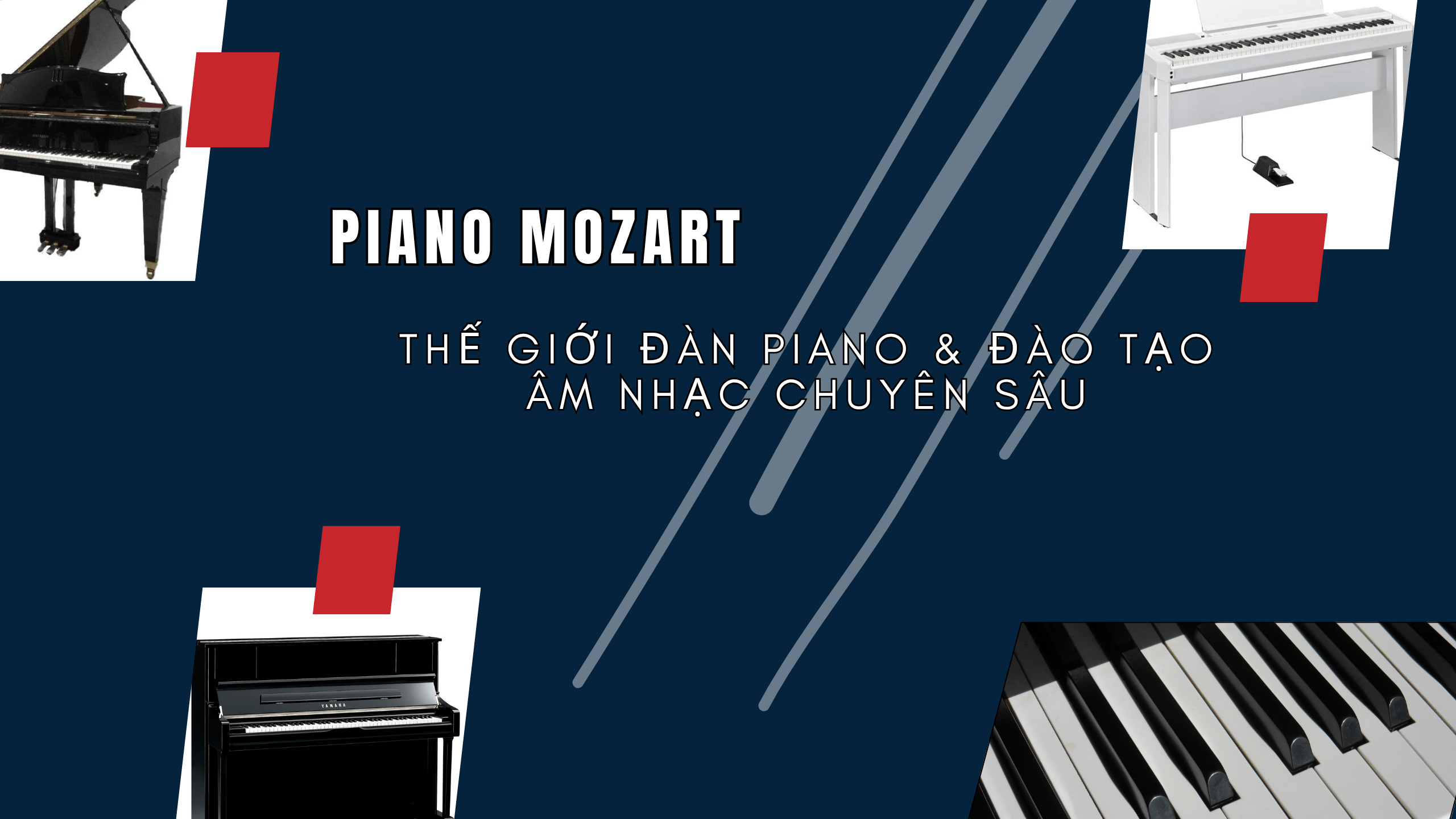 PianoMozart – Thế giới đàn piano & đào tạo âm nhạc chuyên sâu