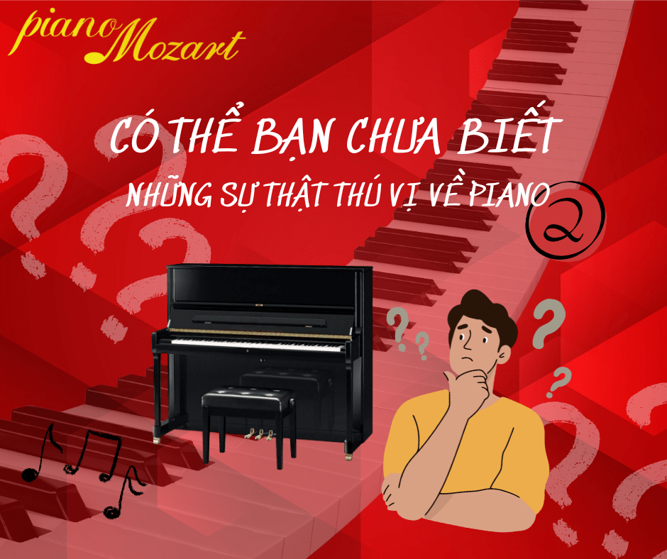 🎹 Những Sự Thật Thú Vị Về Piano (Phần 2) – Càng Hiểu Càng Yêu