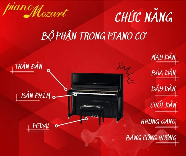 PIANO CƠ GỒM NHỮNG BỘ PHẬN NÀO VÀ CHỨC NĂNG RA SAO?